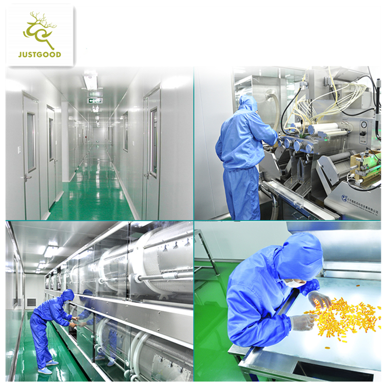 Softgel production workshop